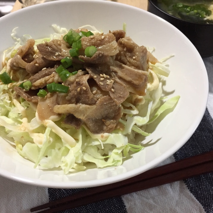 我が家の豚丼